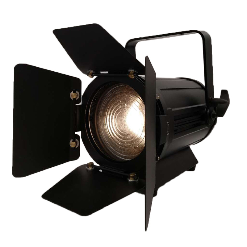 100W Fresnel Light